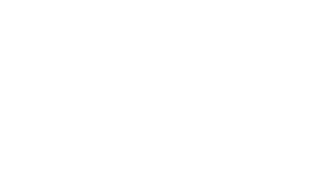Logo DPZ blanco